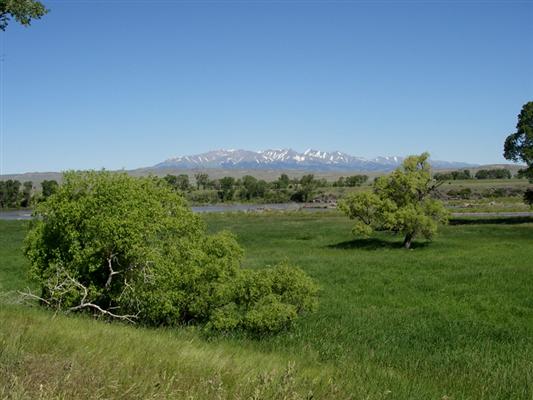 Antelope Creek Ranch Big Timber, MT
