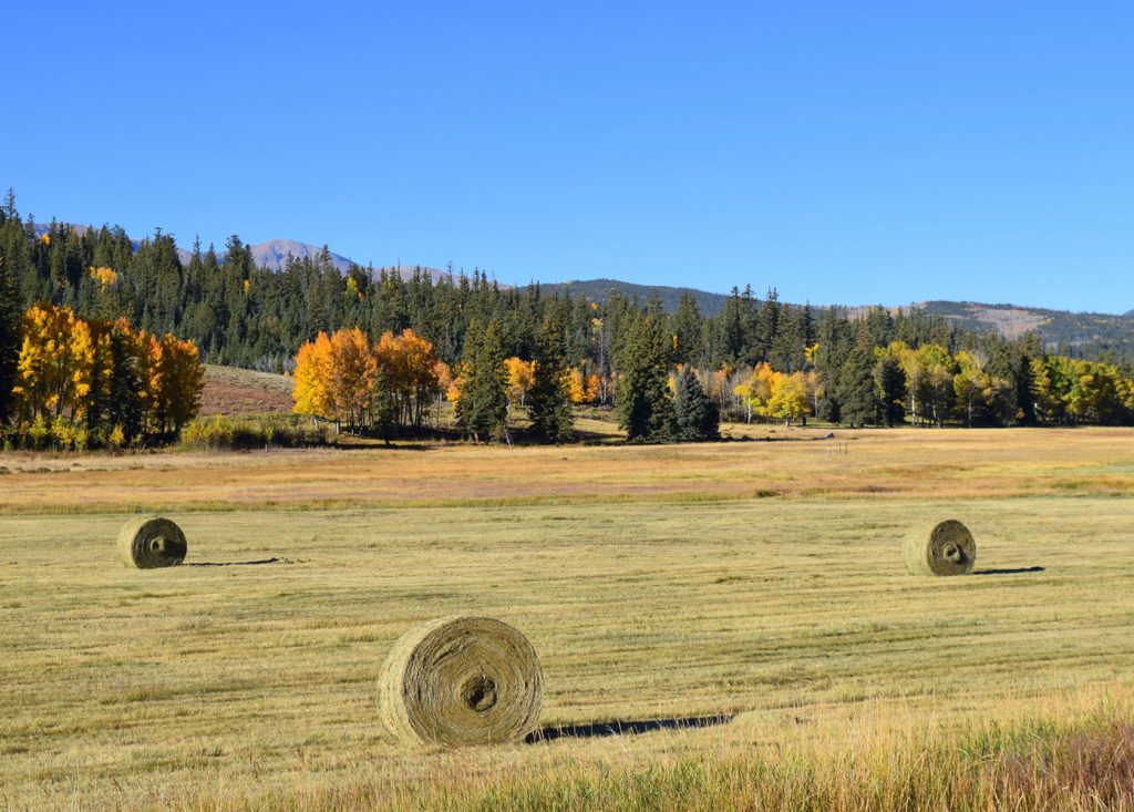 Colorado Ranch for Sale