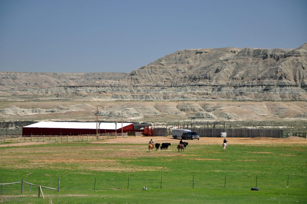 JK Ranch Wyoming Ranch for sale auction cattle hay
