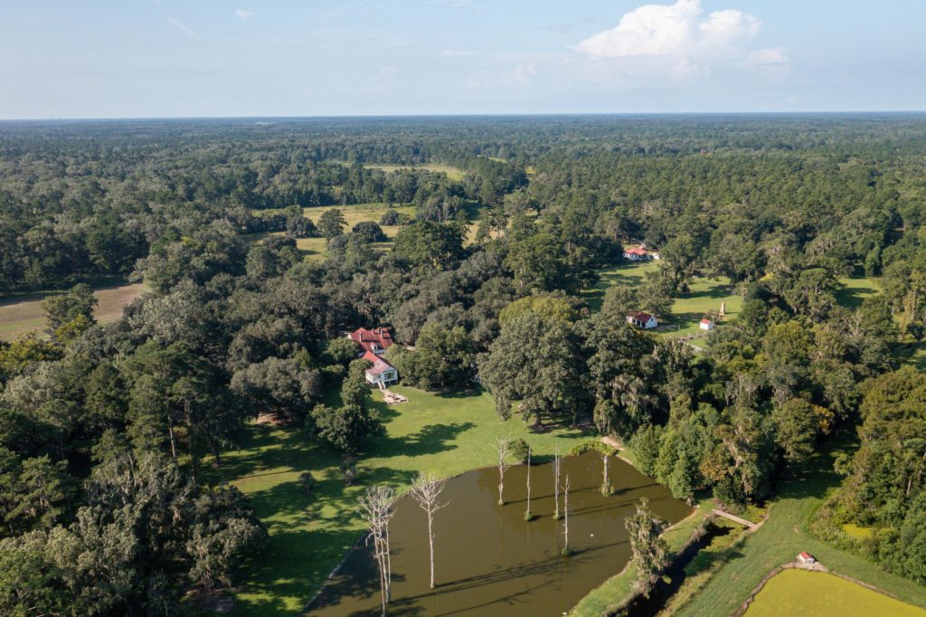Aerial View of Forest 2
