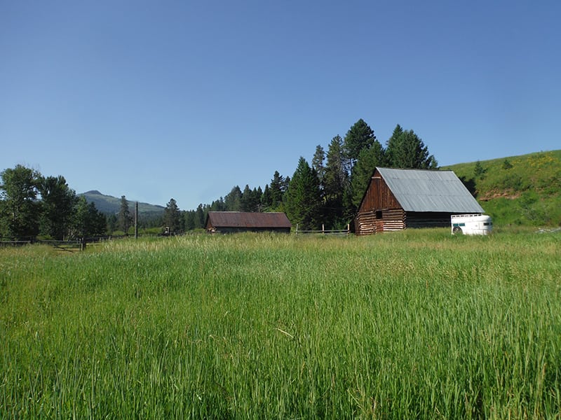 Buying a Montana Ranch for Sale