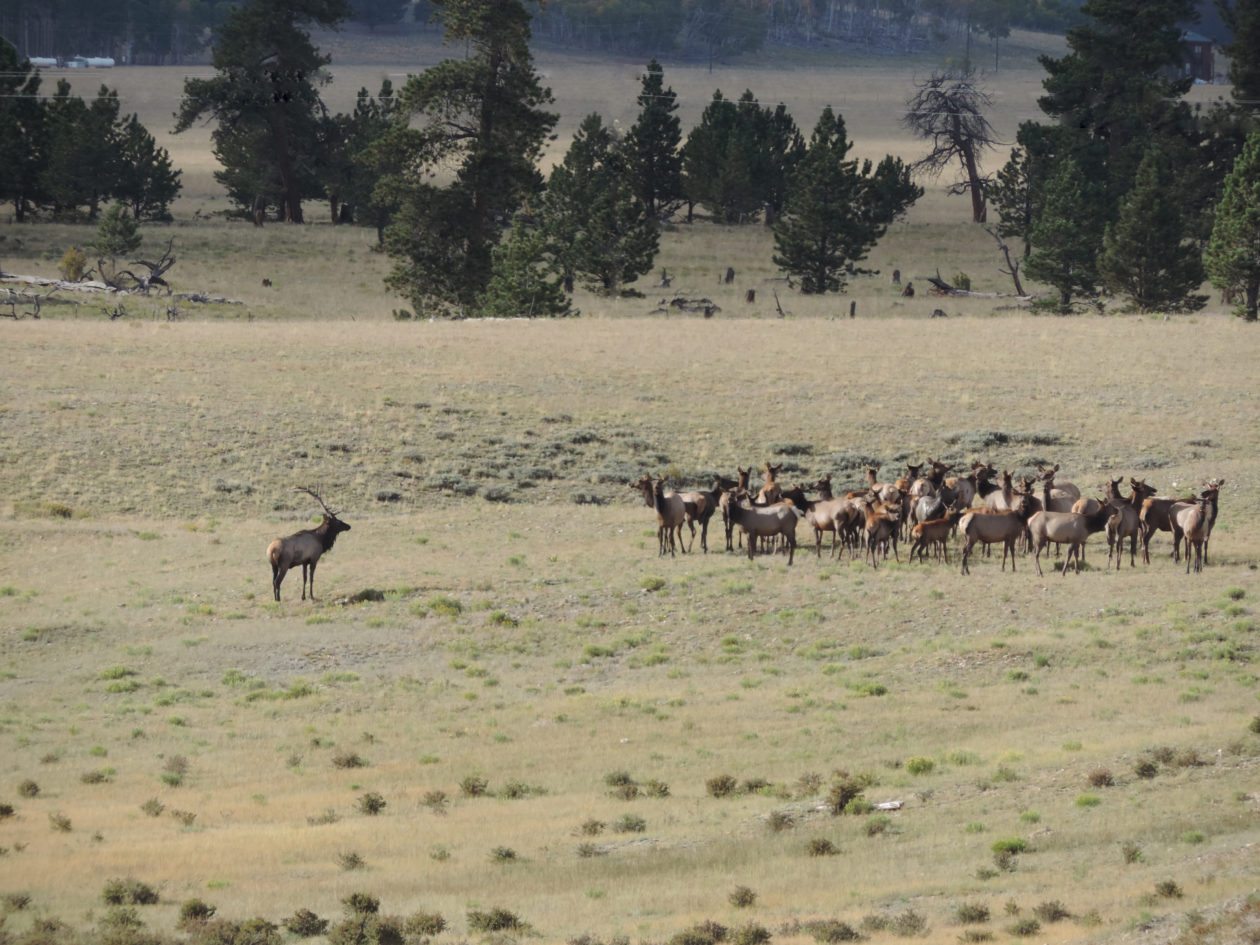 Colorado Hunting Ranches for Sale