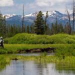 Duck Creek Cabin at Yellowstone National Park