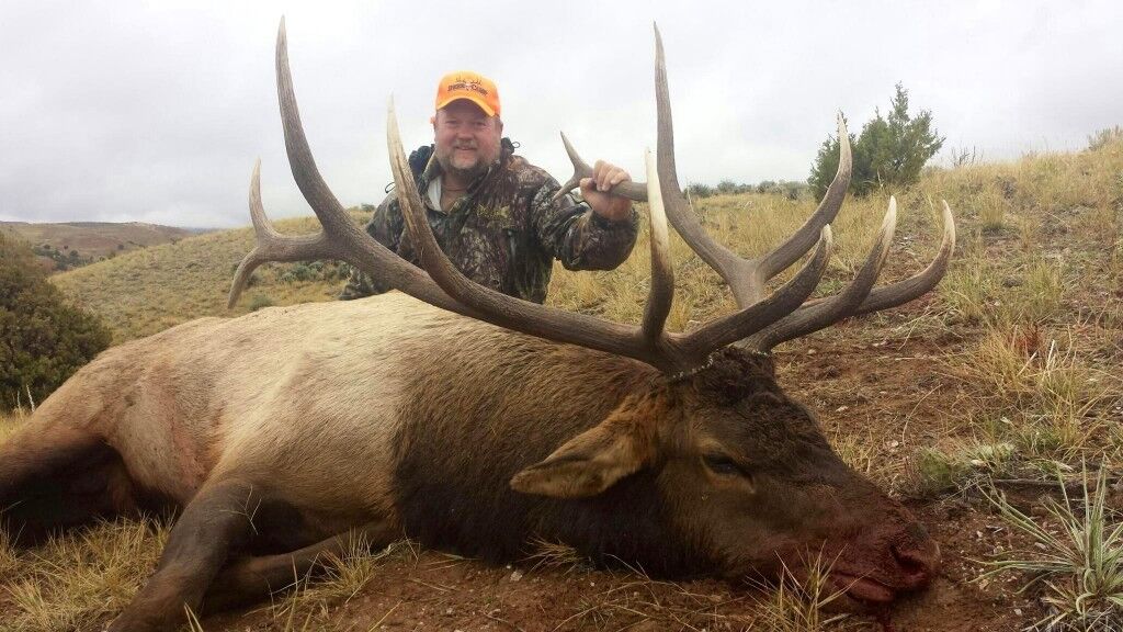 Elk Hunting 3