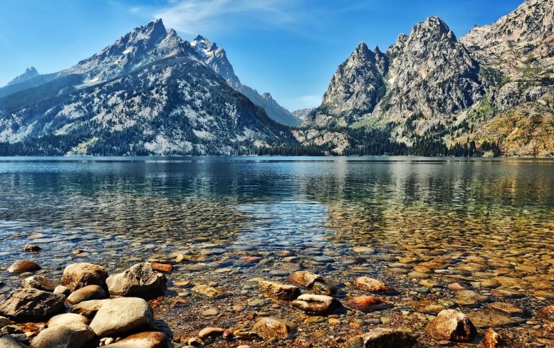Fly Fishing 101