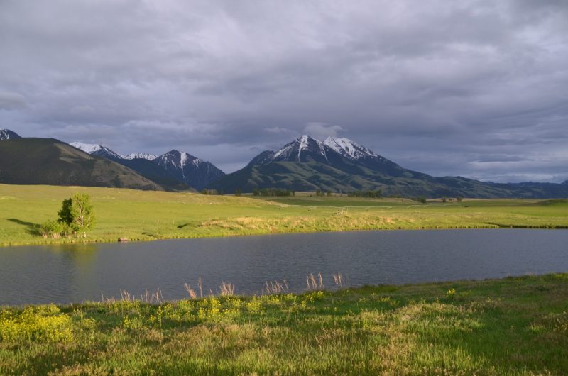 Paradise Valley Ranch for sale