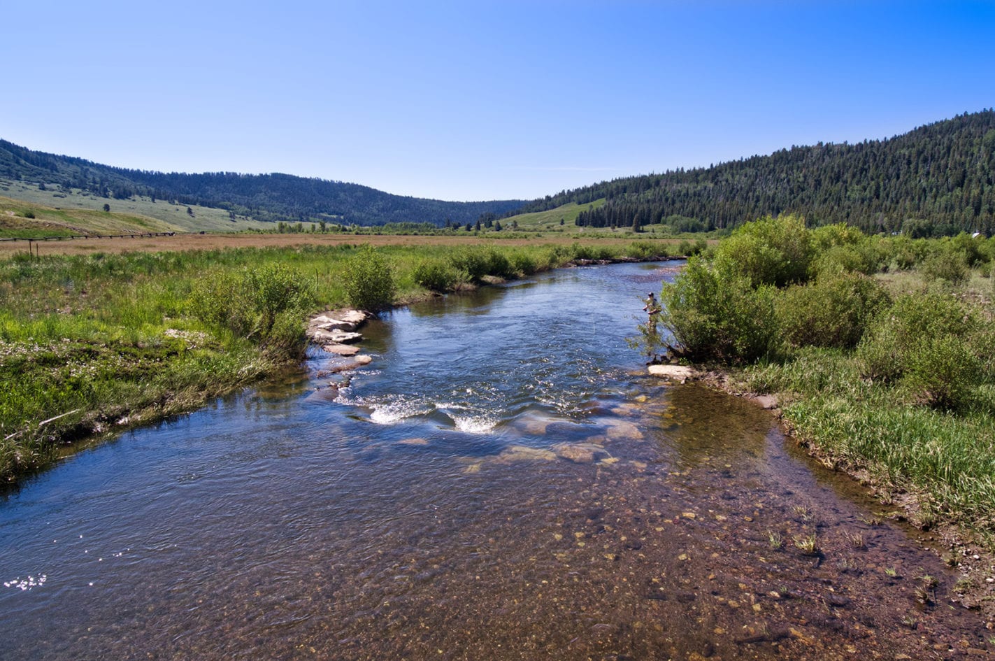 Private Fishery Water Rights in Colorado