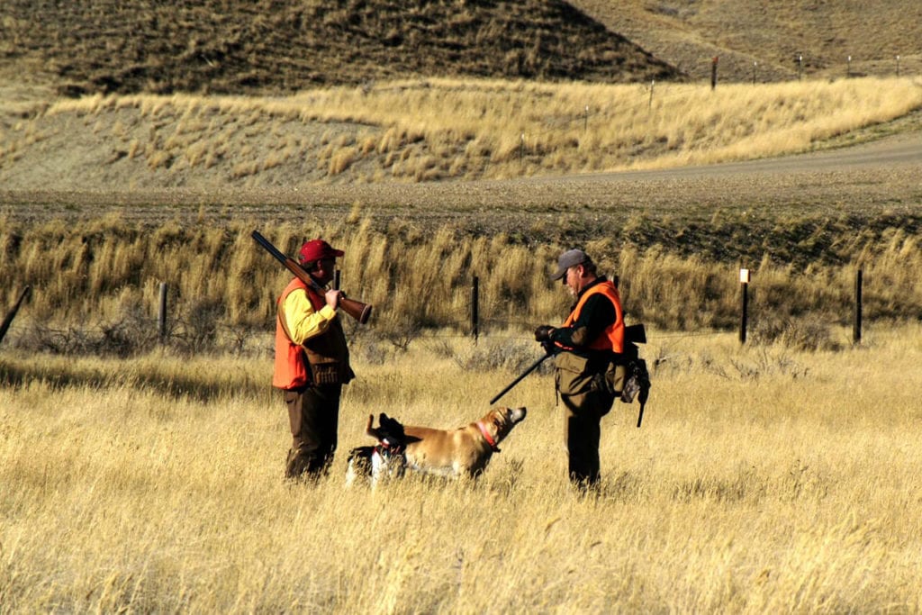 montana hunting ranches for sale