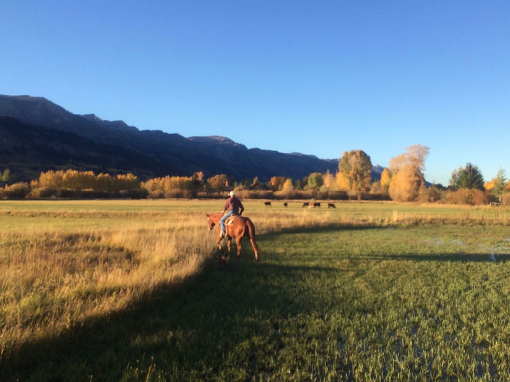 ranches for sale in wyoming