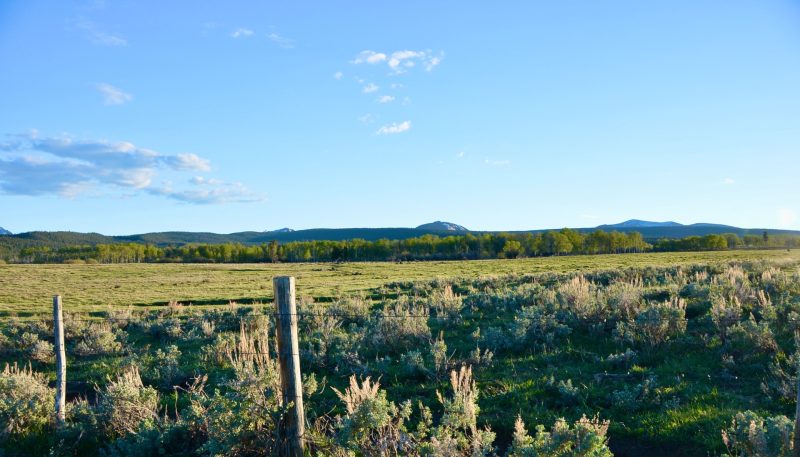 Chief Joseph Ranch - Live Water Properties - Montana Ranches for Sale