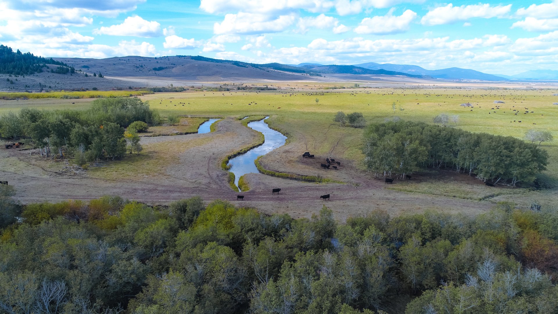 Rohrer Ranch Helmville, Montana