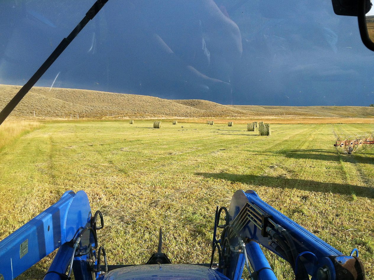 Agricultural