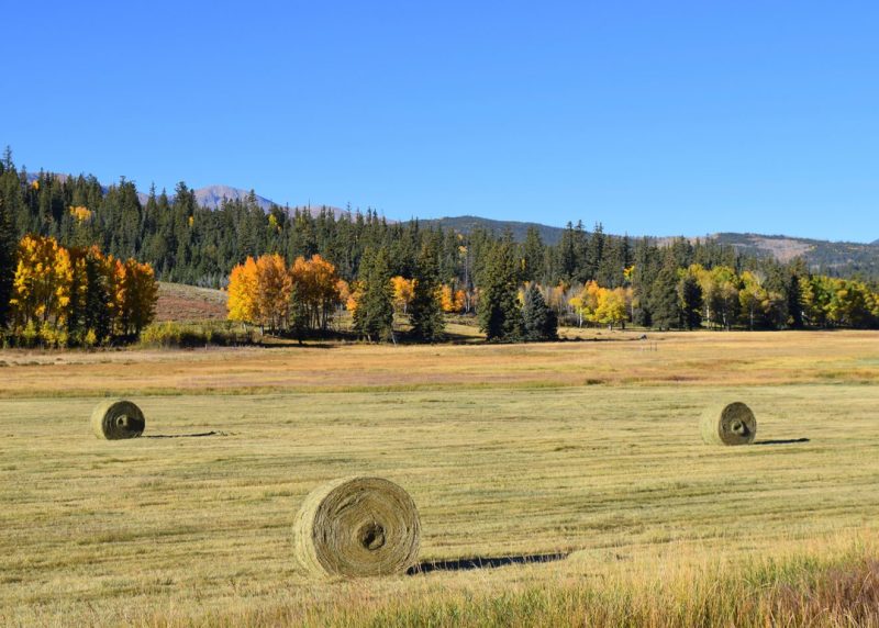 Agricultural