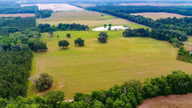 Farm