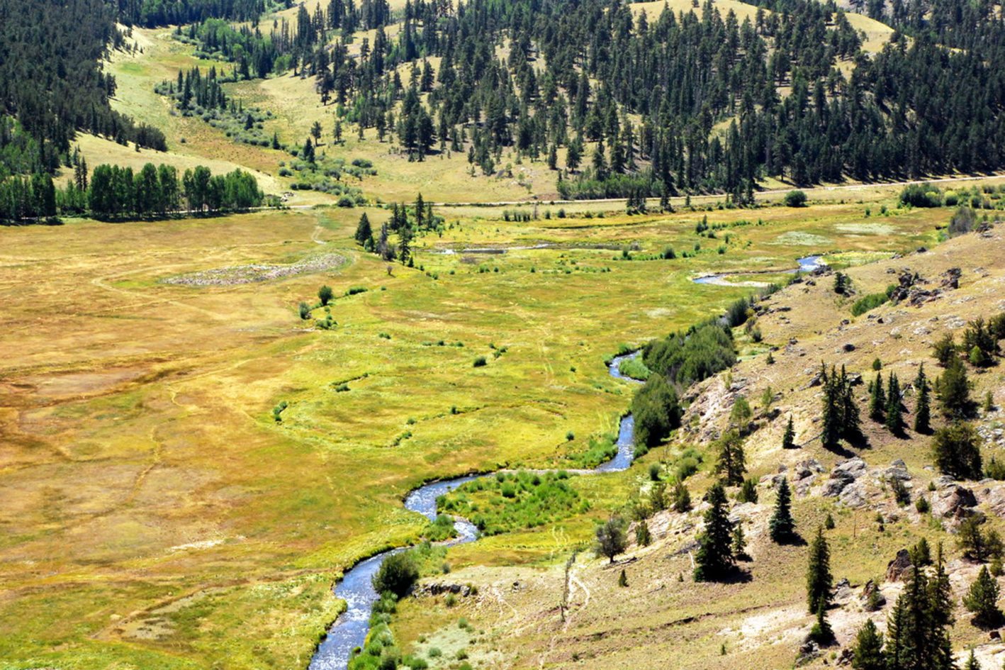 Gunnison Ranches for Sale Live Water Properties Colorado Ranches
