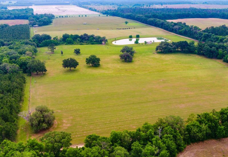 Farm