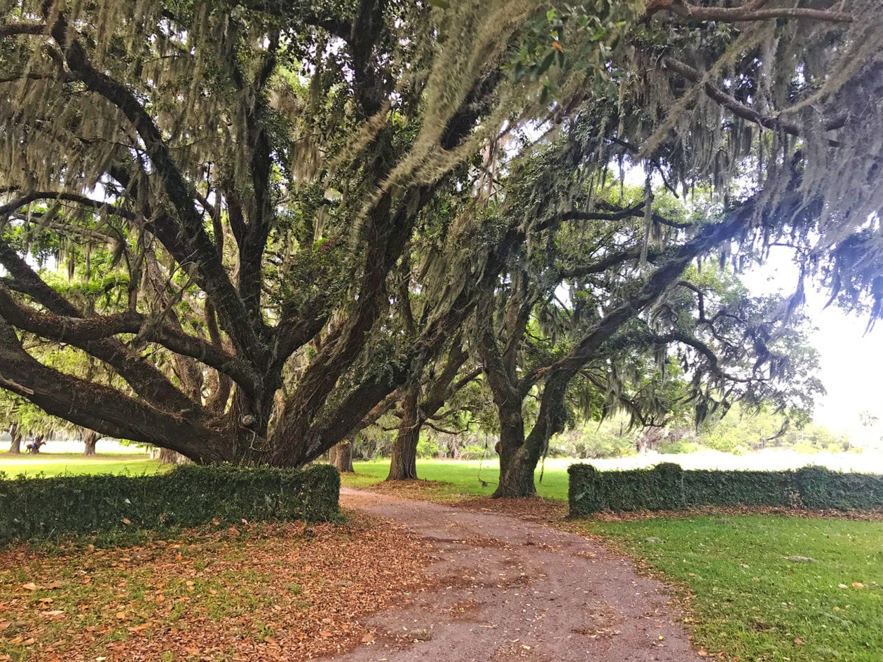 Plantation