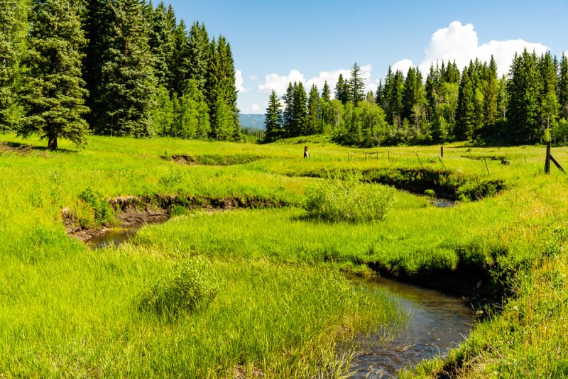 Seven Springs Ranch for Sale in Colorado