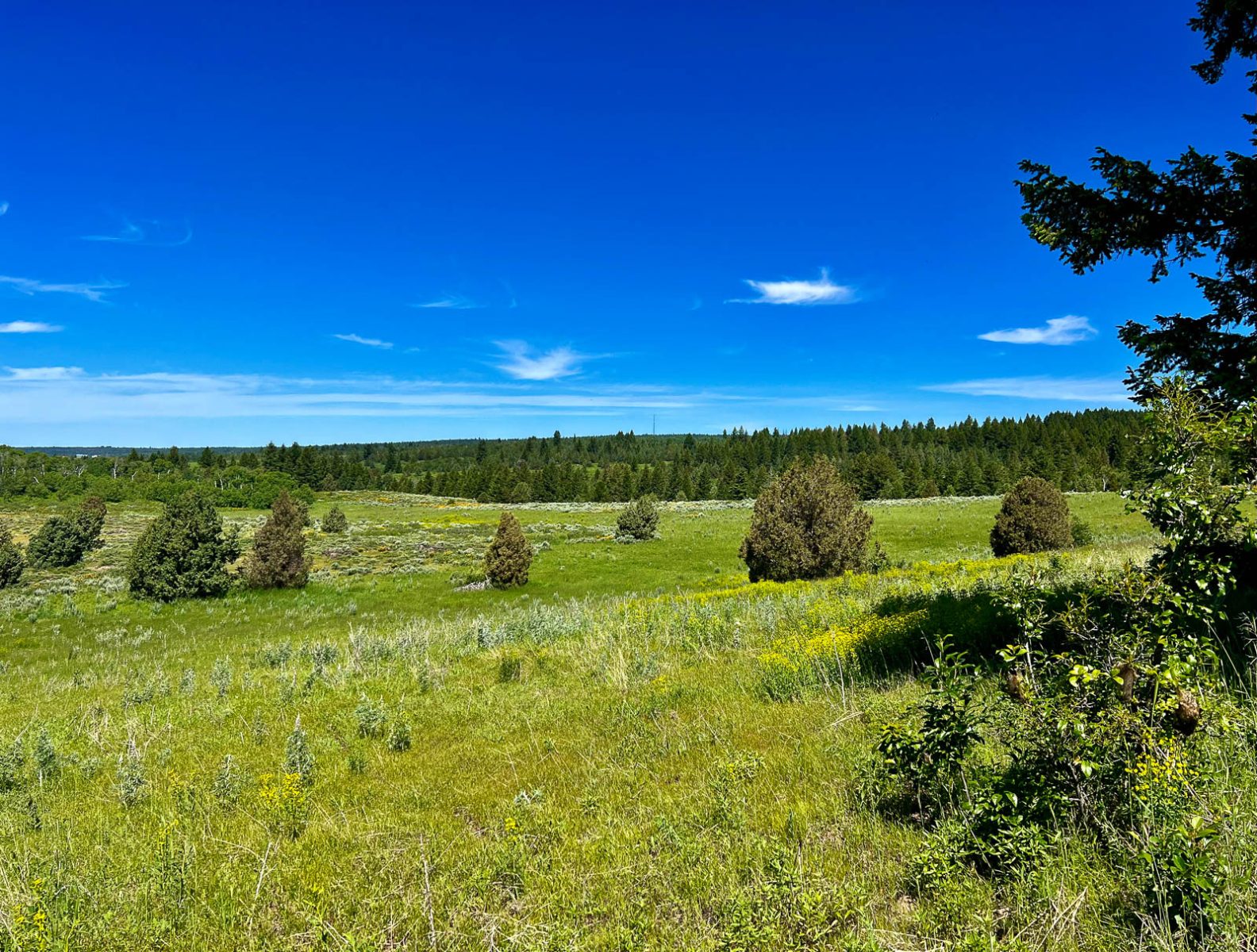 land in Idaho for sale