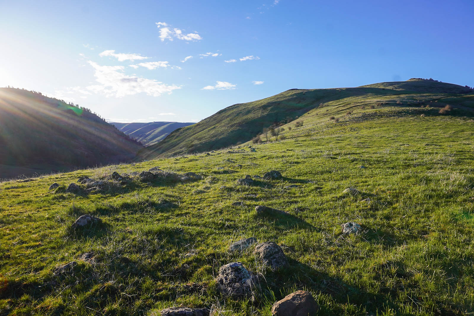 Hillside-views--Cottonwood-Creek-Ranch-Idaho-039