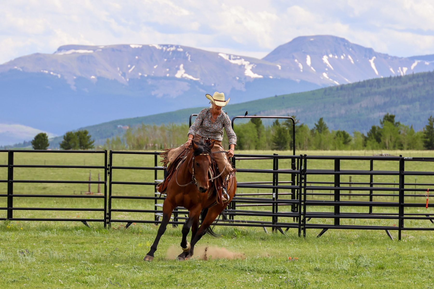woman riding horse