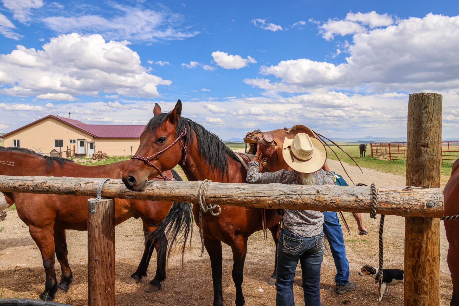 rancher with horse