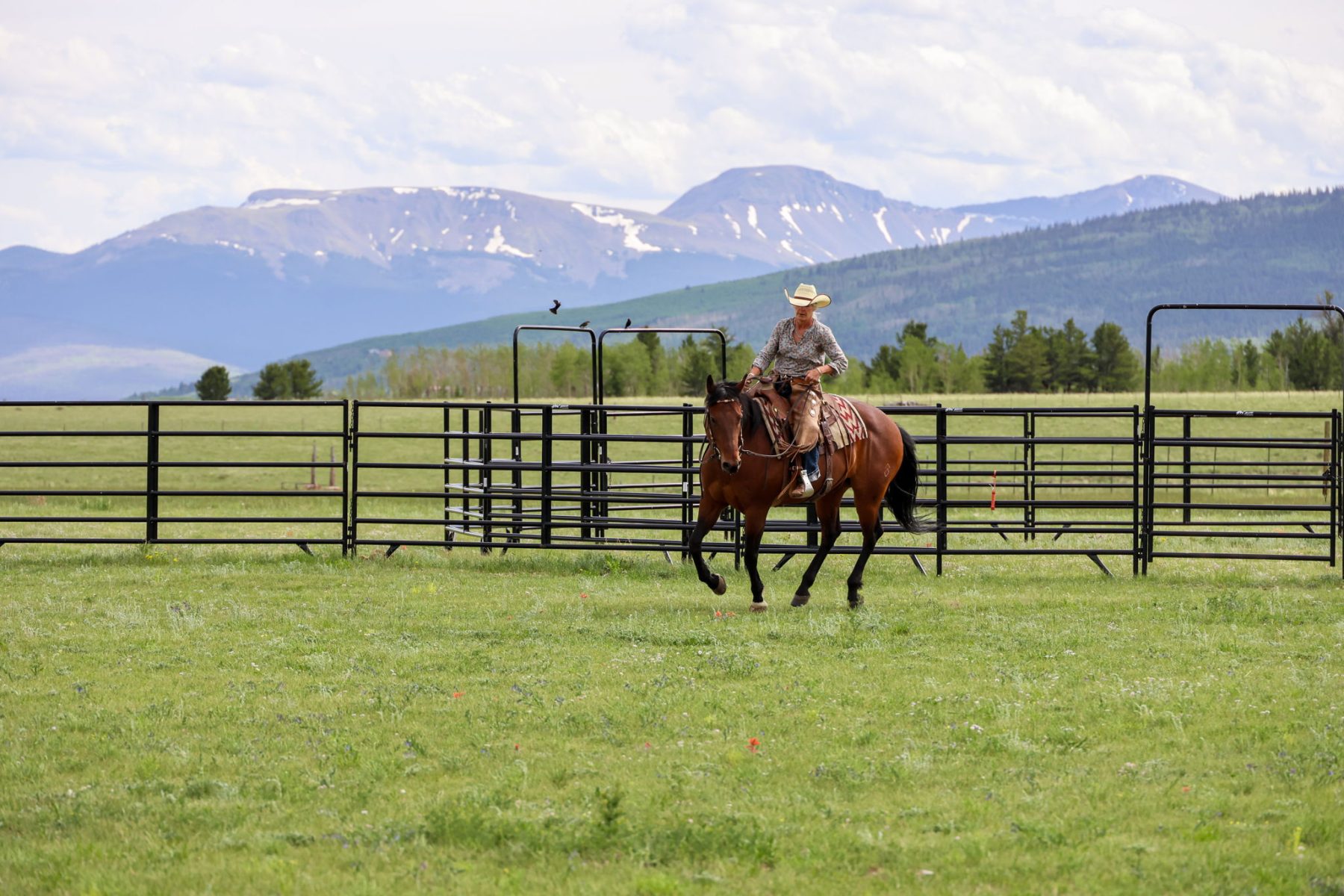woman riding horse
