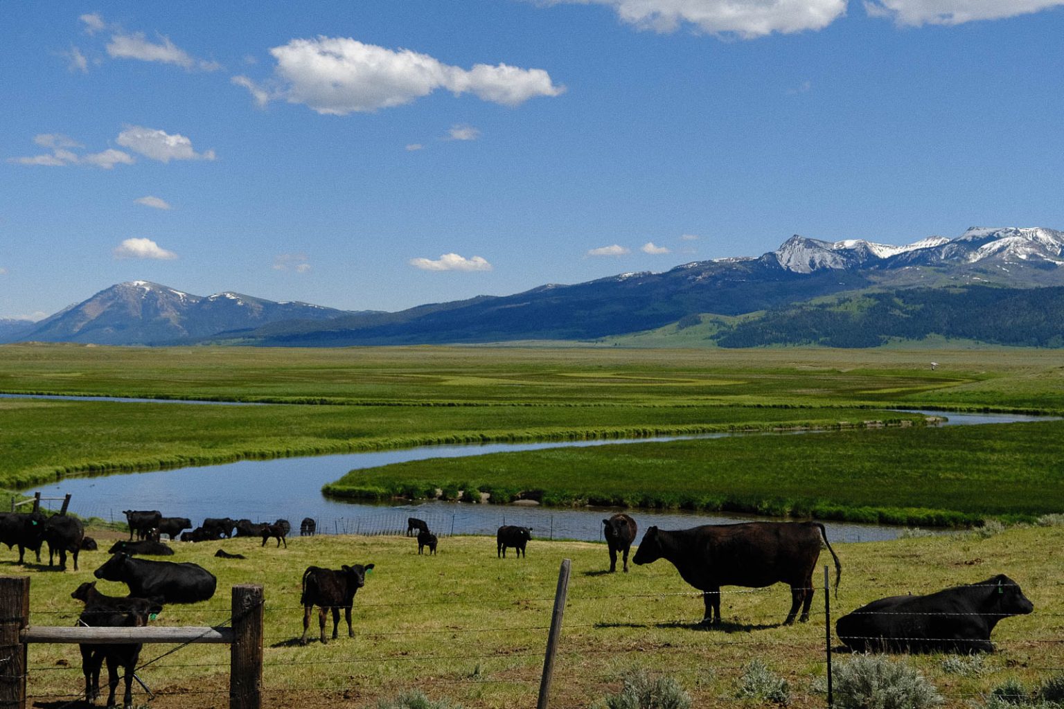 Centennial Ranch | Montana Ranch for Sale | Live Water Properties