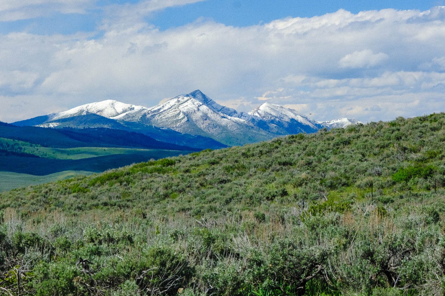 Centennial Ranch | Montana Ranch for Sale | Live Water Properties