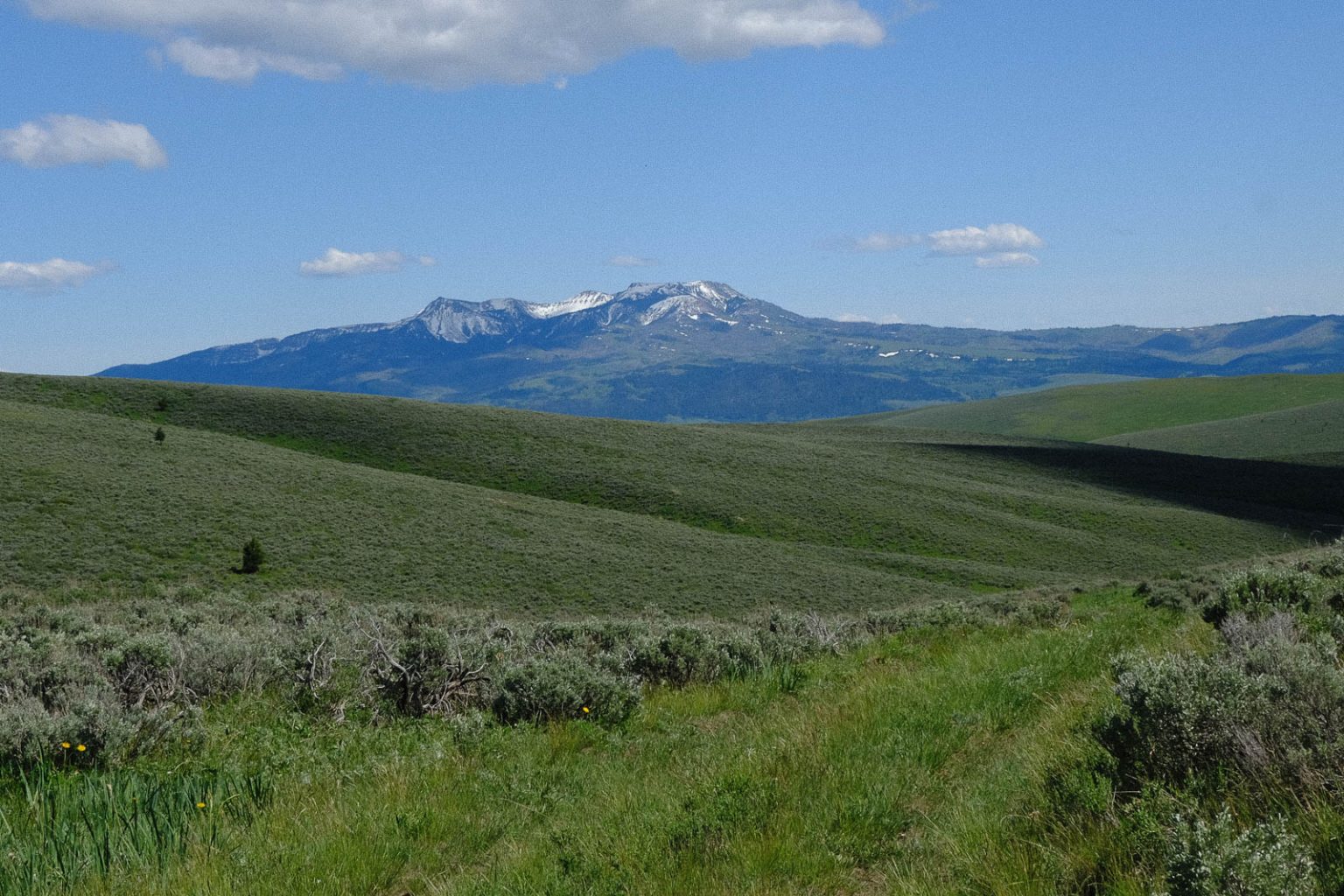 Centennial Ranch | Montana Ranch for Sale | Live Water Properties
