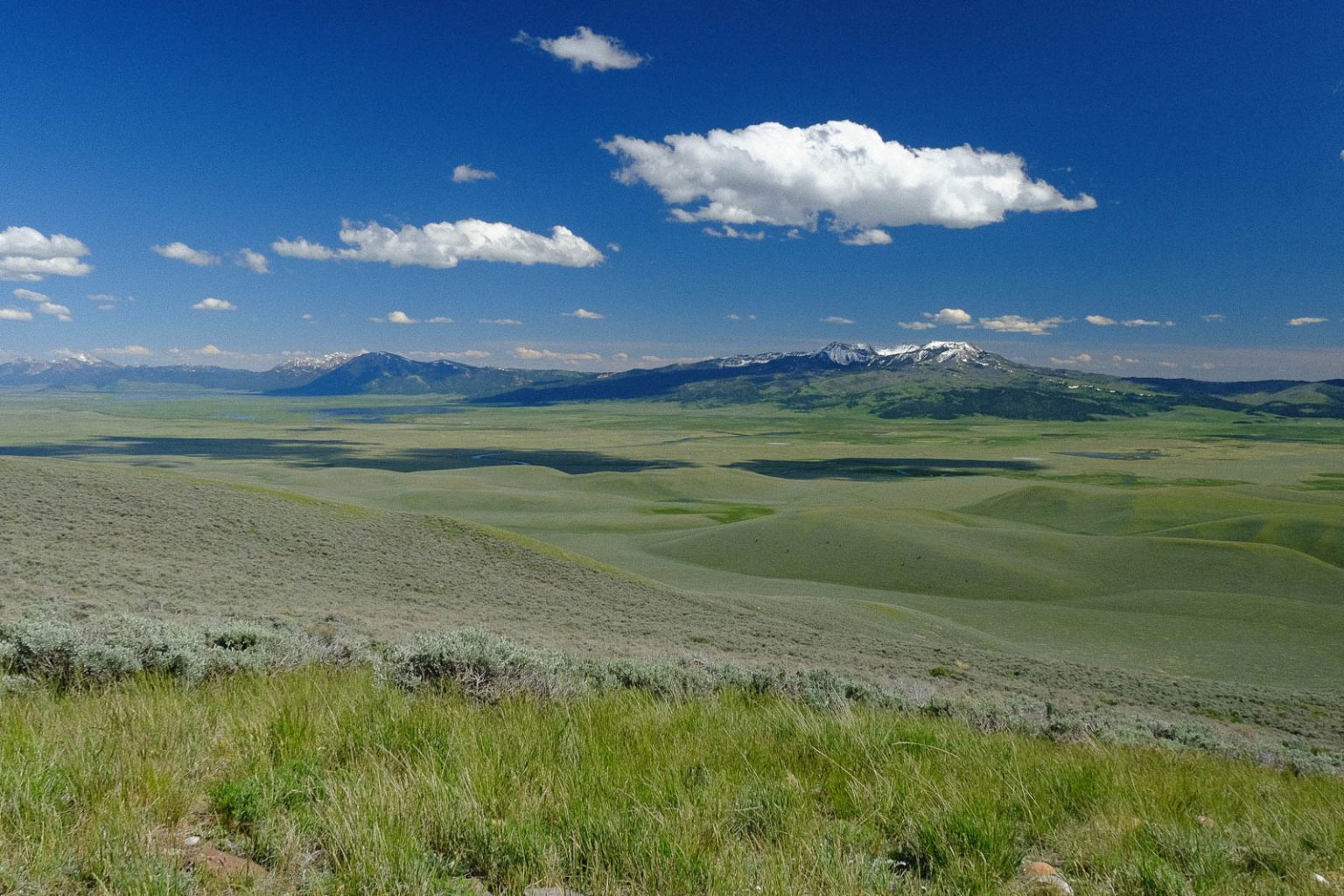Centennial Ranch | Montana Ranch for Sale | Live Water Properties