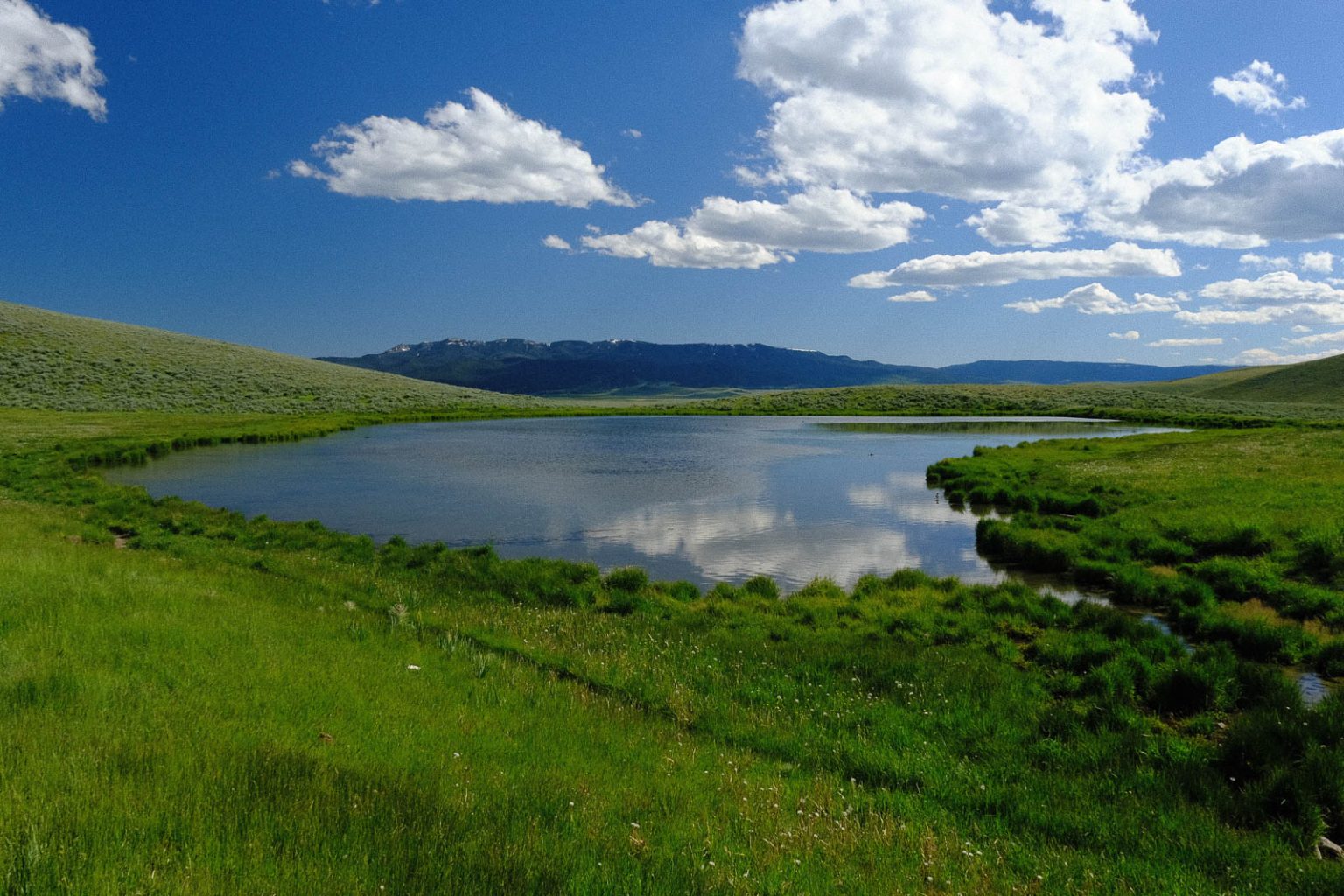 Centennial Ranch | Montana Ranch for Sale | Live Water Properties