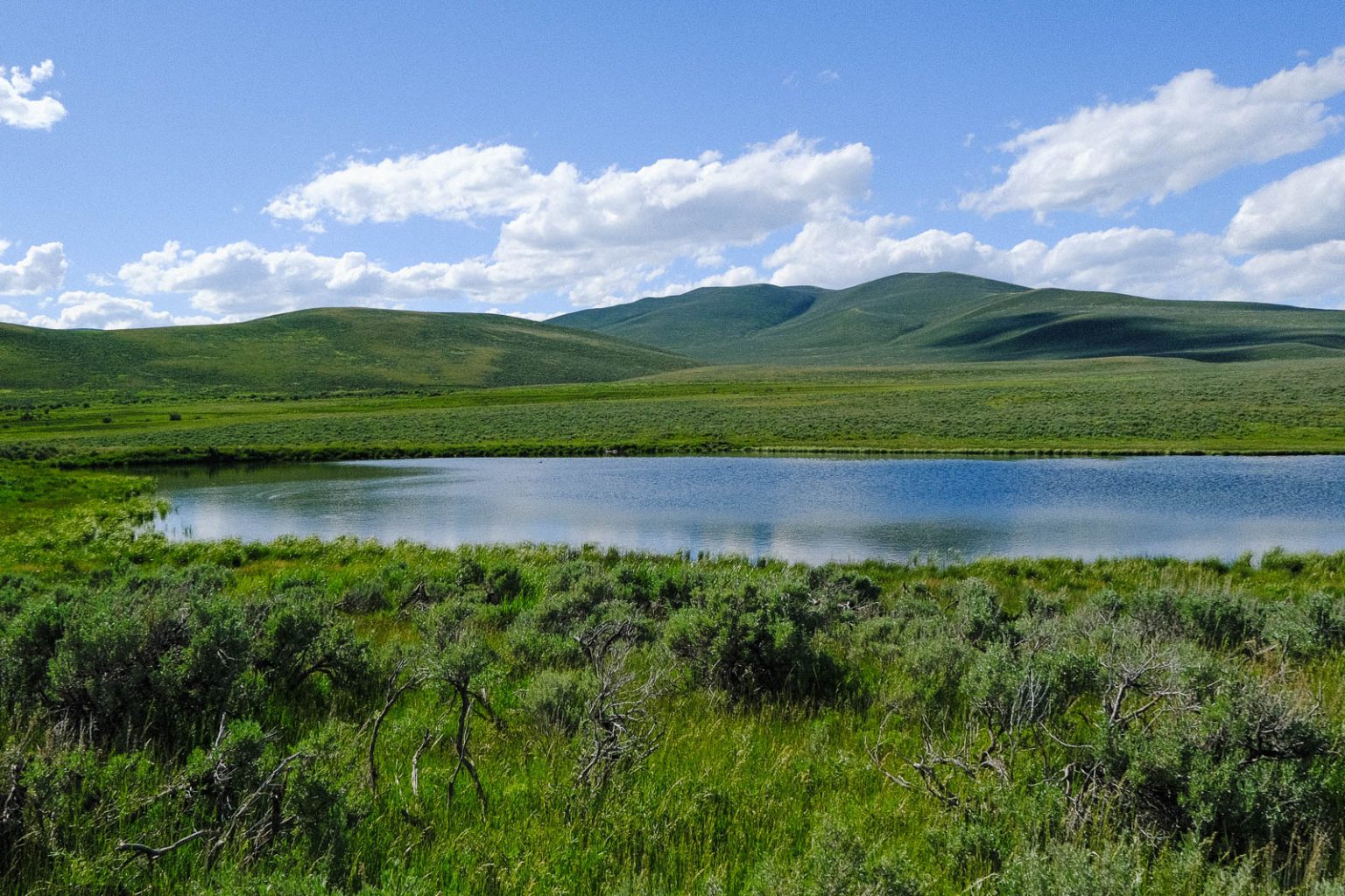 Centennial Ranch | Montana Ranch for Sale | Live Water Properties