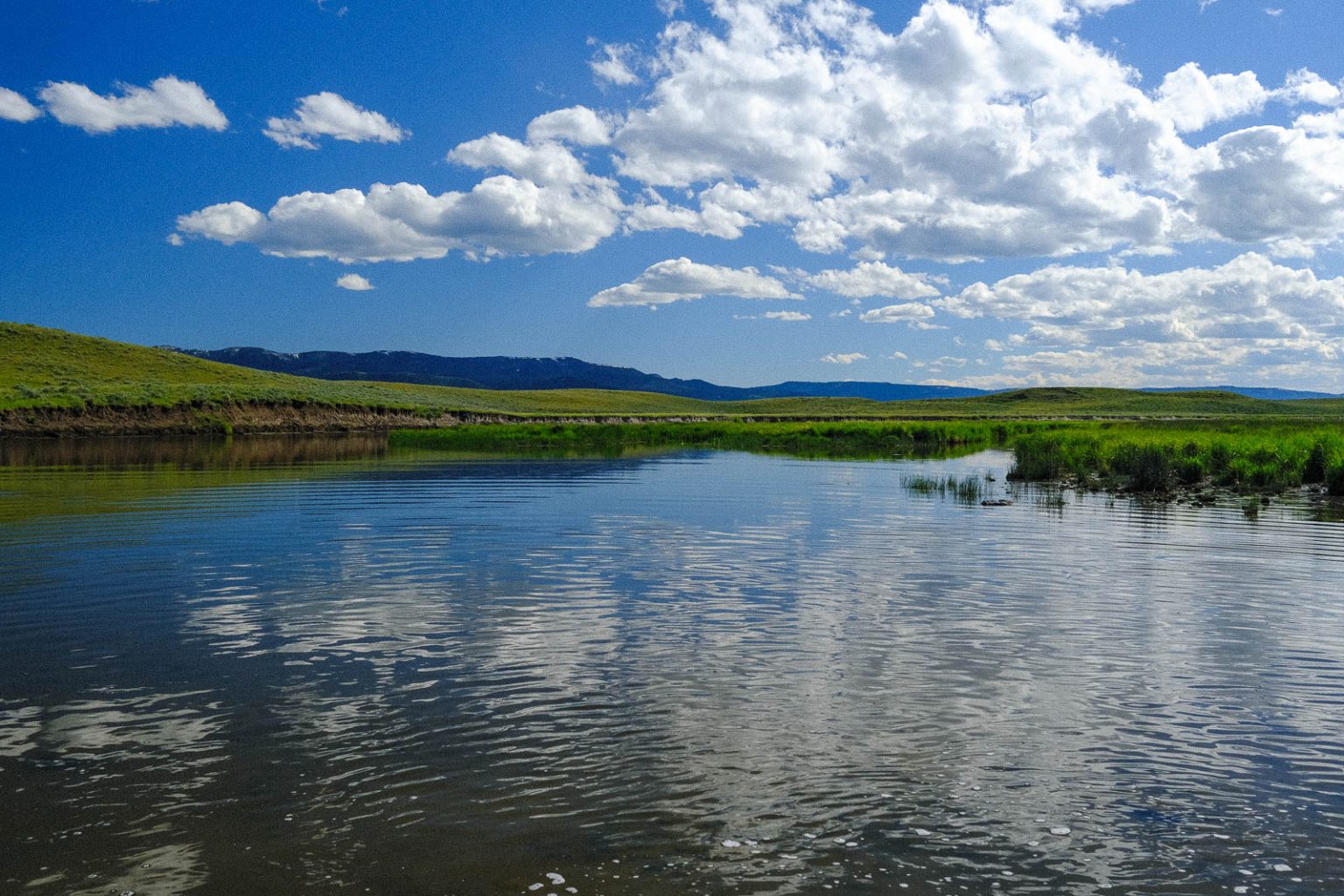 Centennial Ranch | Montana Ranch for Sale | Live Water Properties