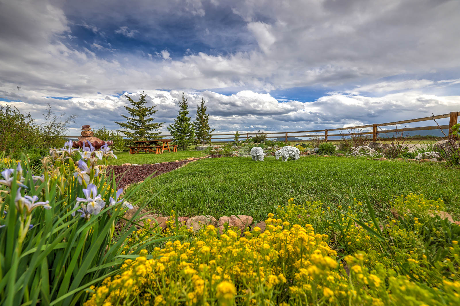 ranch in Colorado for sale with wildflowers