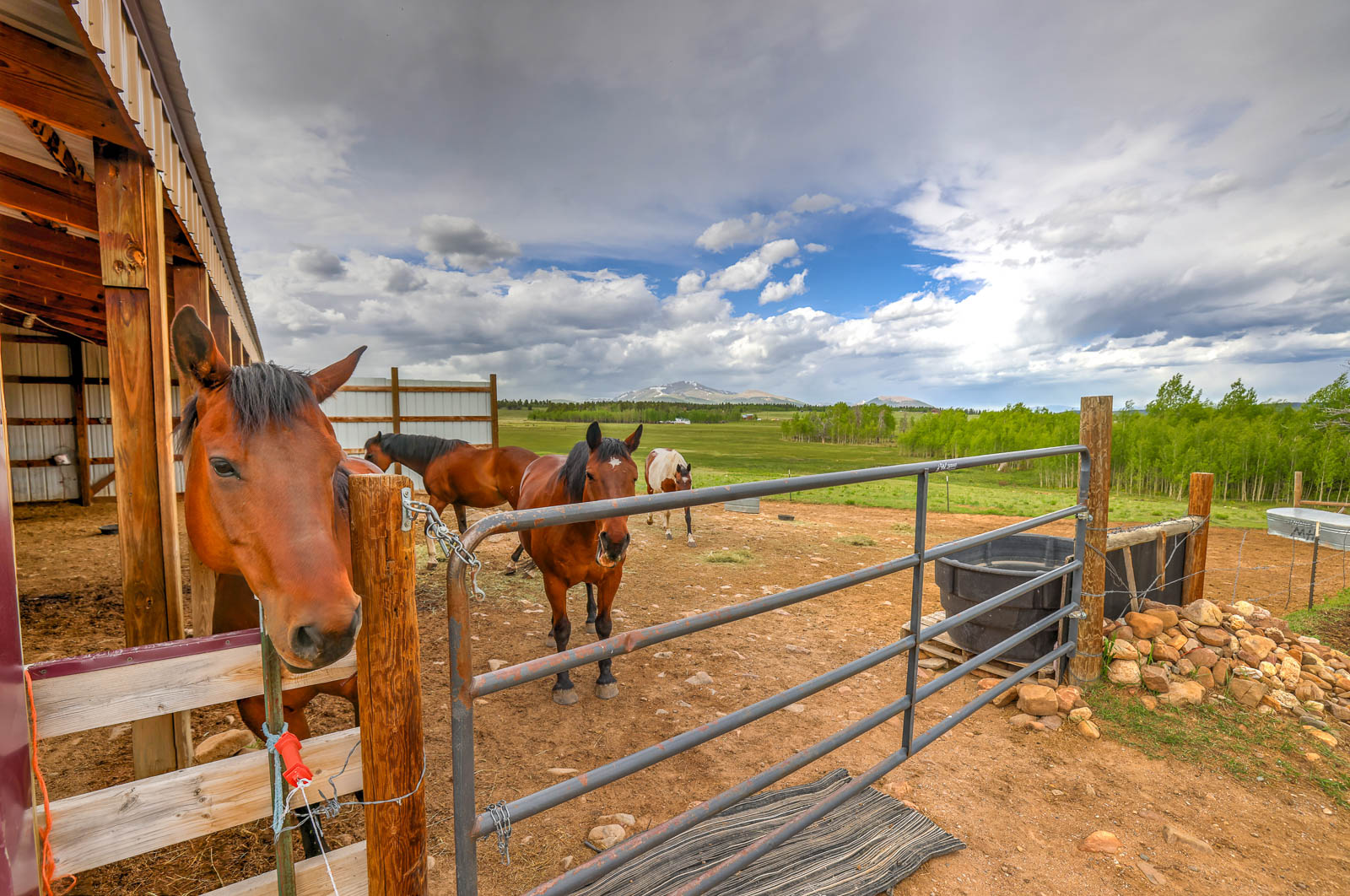 ranch in Colorado for sale horses