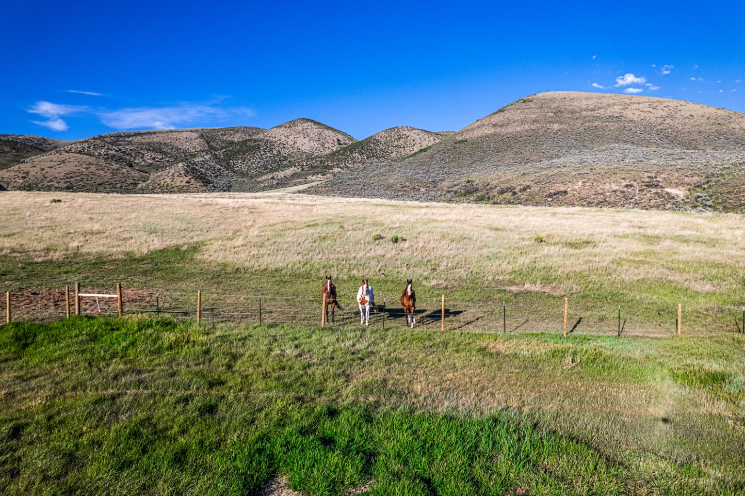 Nieslanik Ranch - Land & Ranches for Sale in Western & Southeastern ...