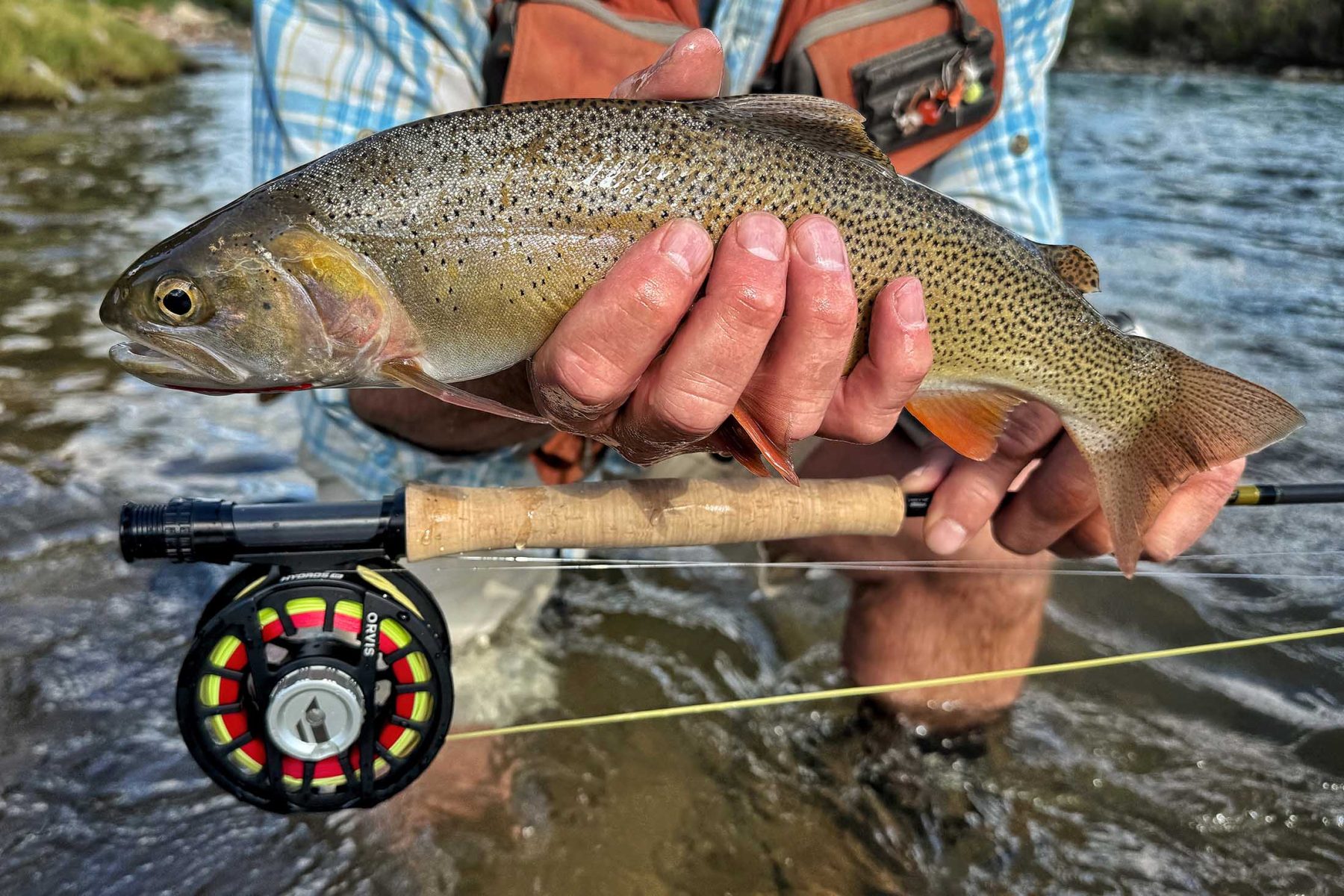 red_hills_ranch_jackson_hole_wyoming_fly_fishing