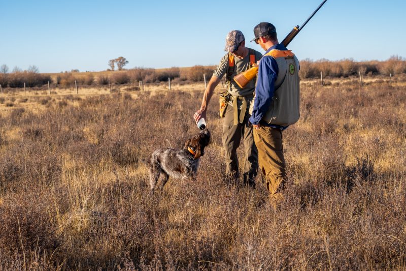 hunters and dog on bird hunting ranch