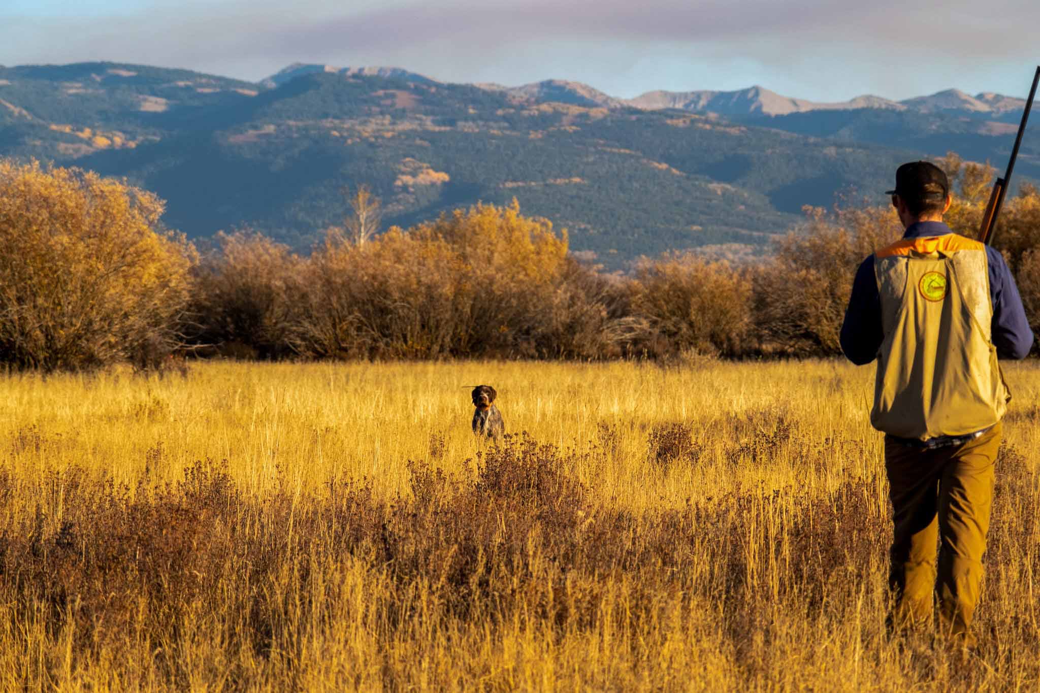 Waterfowl and Upland Bird Hunting Ranches