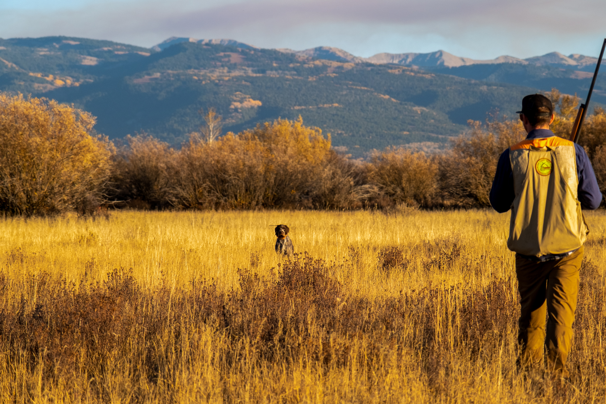 Upland Bird and Waterfowl Hunting Ranches