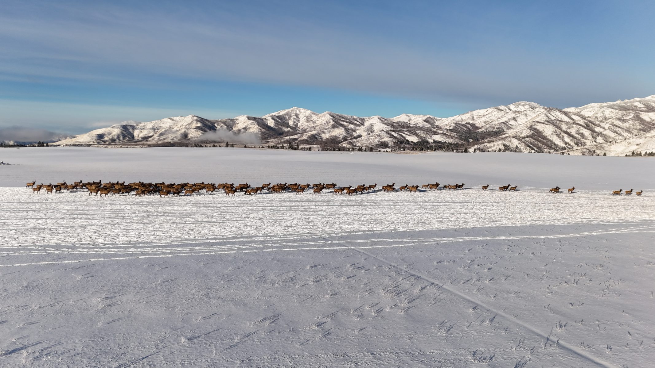Anderson Ranch - Elk Hunting Ranch and Organic Farm - Idaho Ranches for Sale
