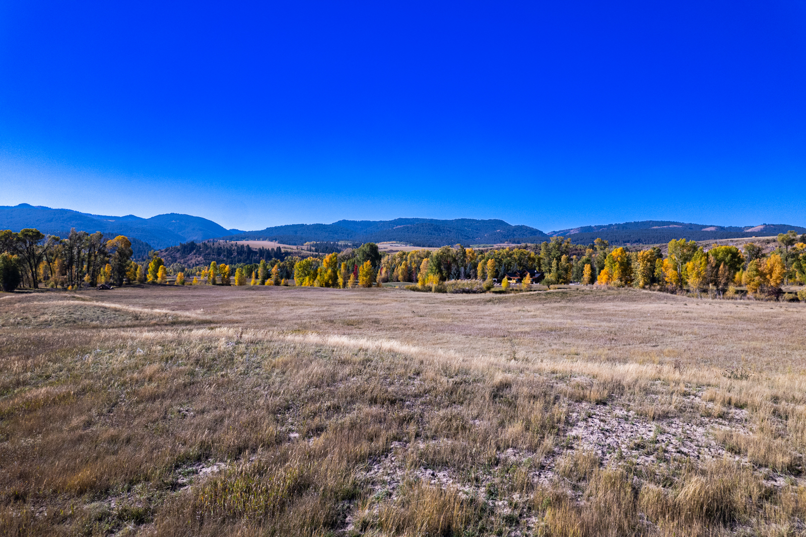 swan valley lots with Tetons in the background