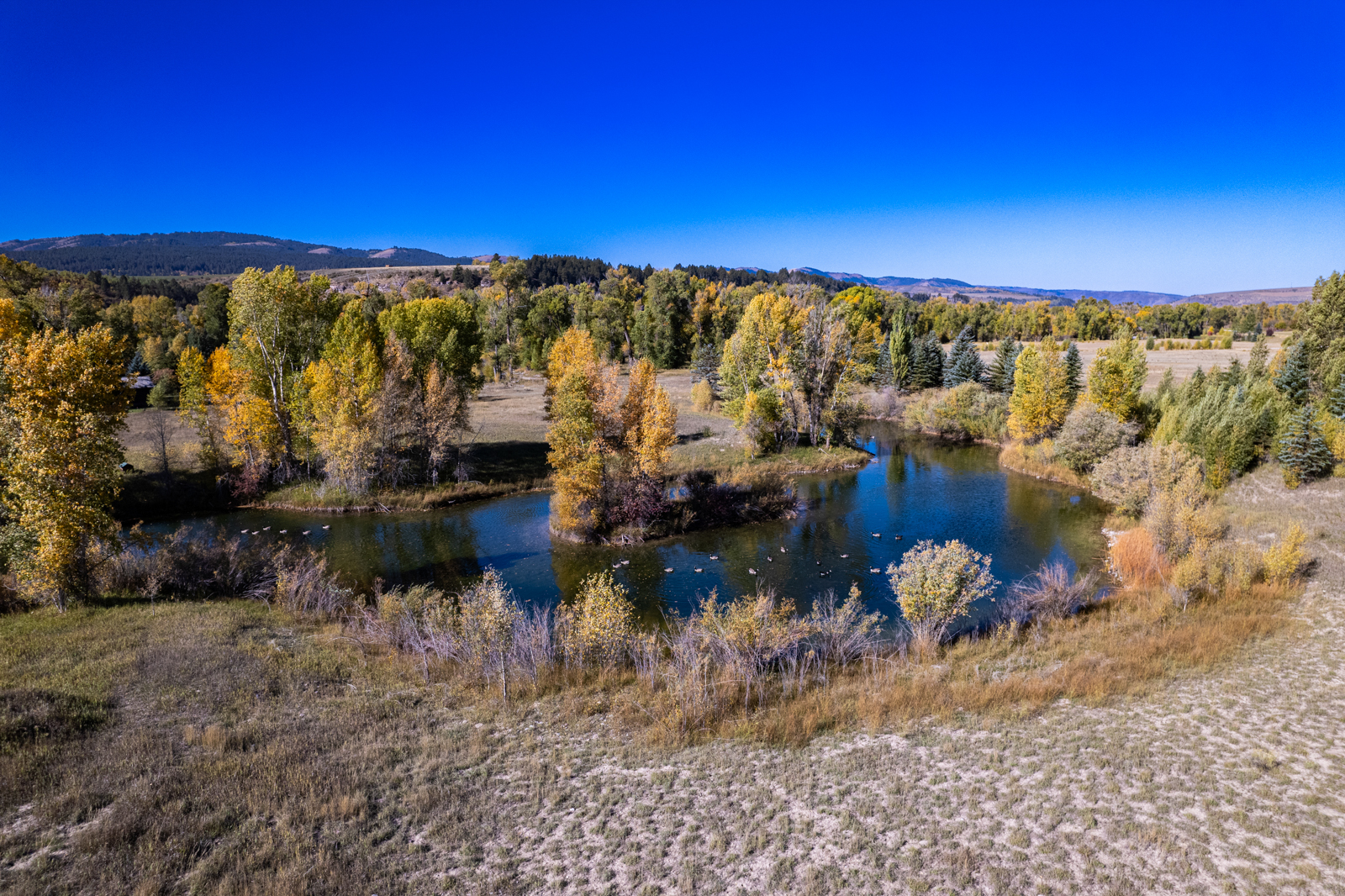 lots on land for sale near Jackson