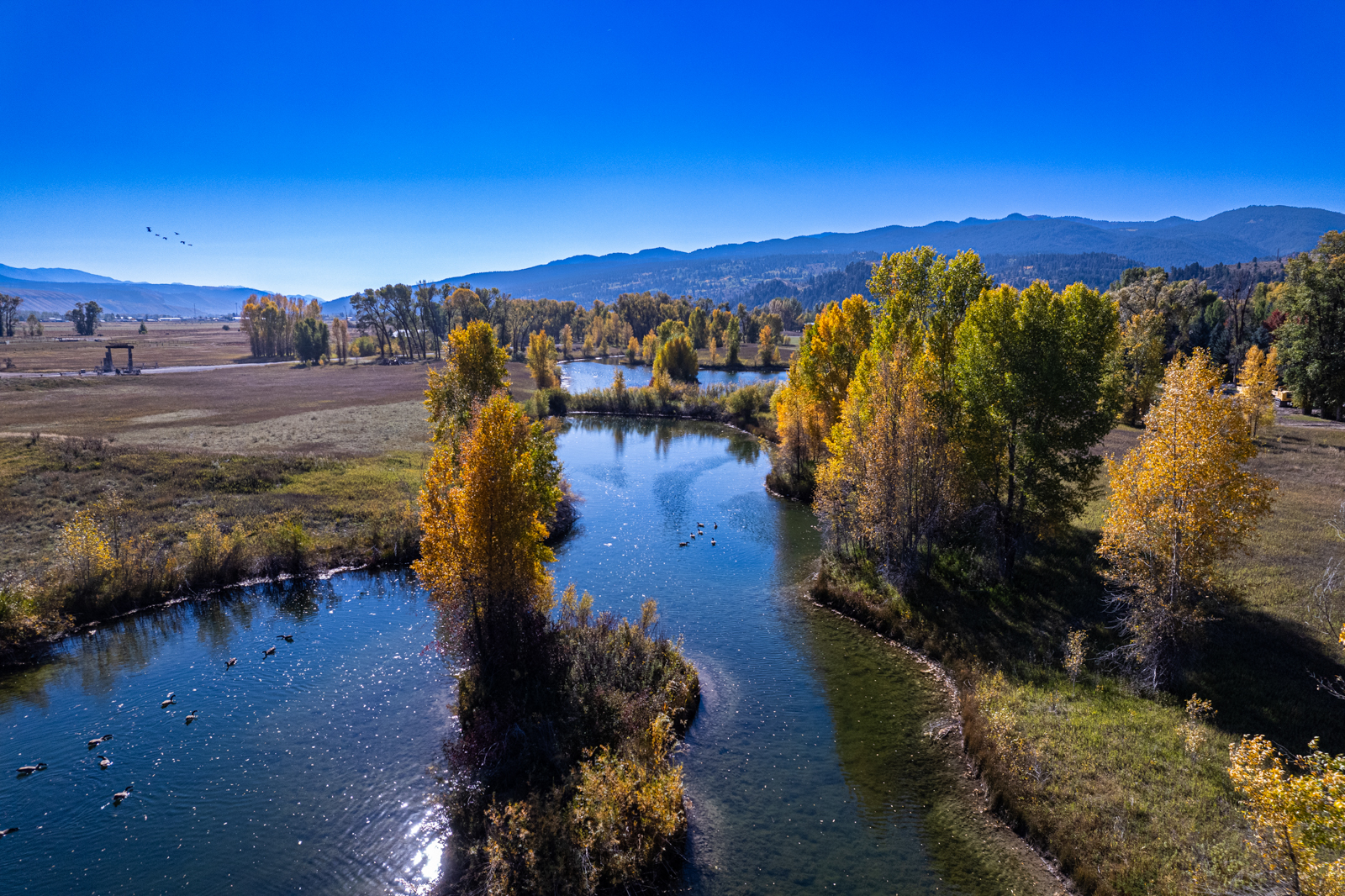 river on land for sale near jackson