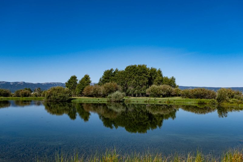 Iron Gate Ranch