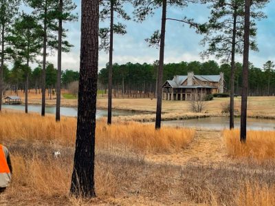 Ranch in a forest