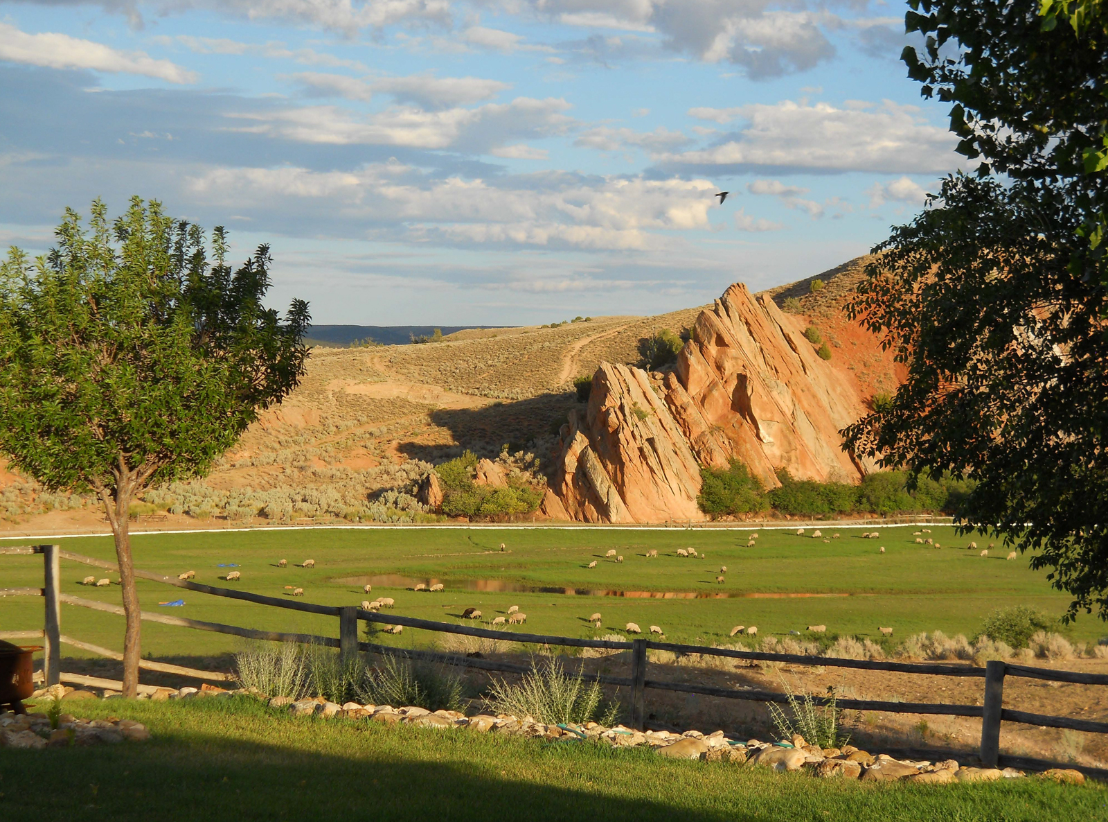 Split Lightning Ranch
