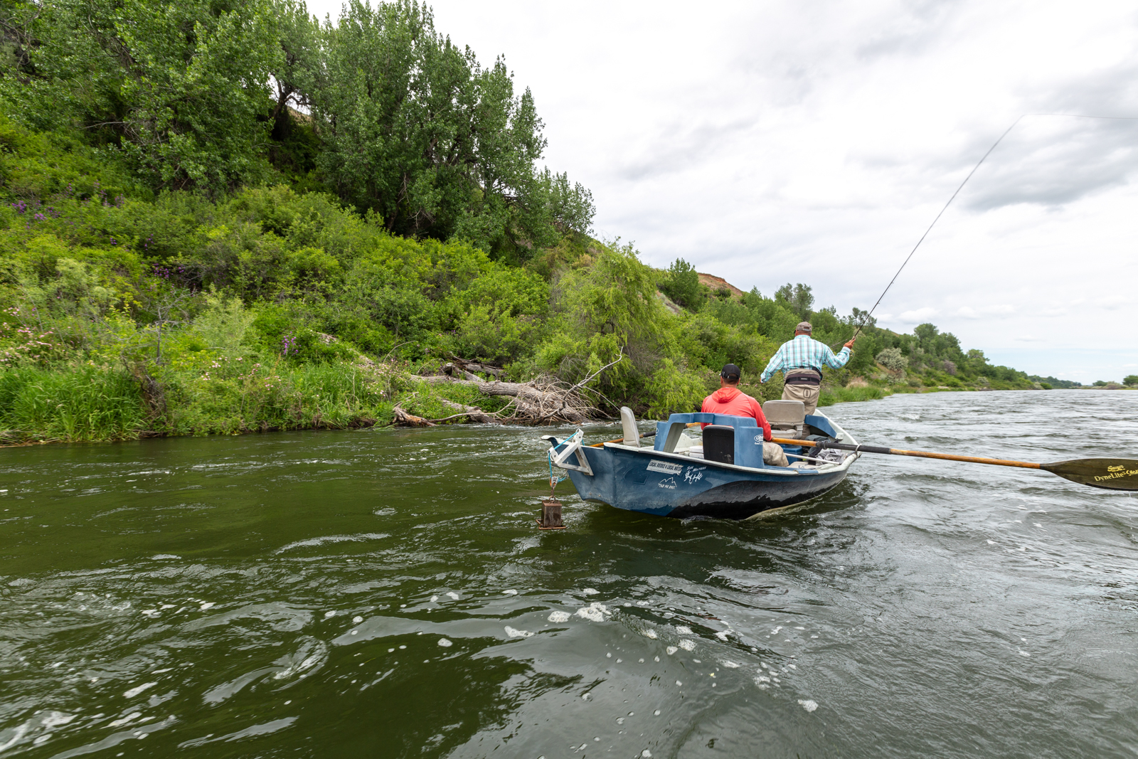 fly fishing on the river