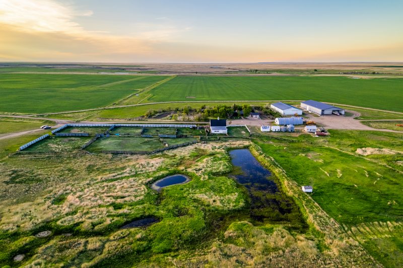 The Schellin Ranch